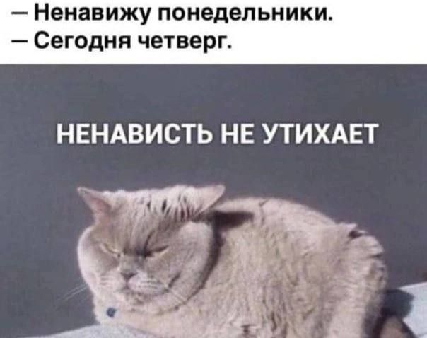 _ Ненавижу понедельники _ СЕГОДНЯ четверг НЕНАВИСТЬ НЕ УТИХАЕТ