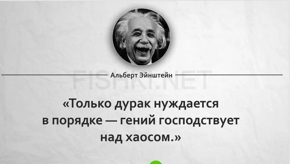 в адйц Только дурак нуждается в порядке гений господствует над хаосом