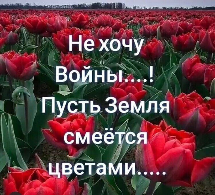 Нехочу _ ВчинЪь ПустЭЗемля сметадоя цвета и 7