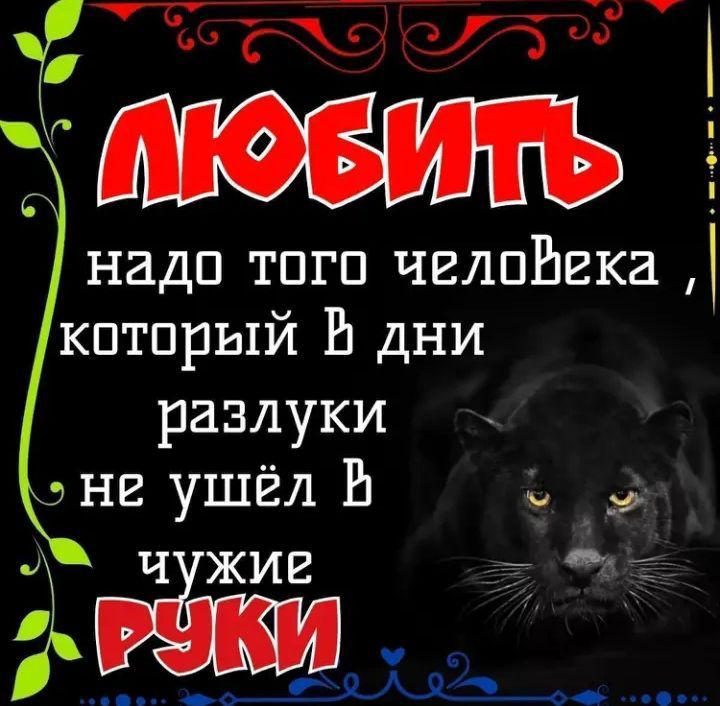 надо тпгп чвлпЬгка который В дни разлуки нг ушёл Р і