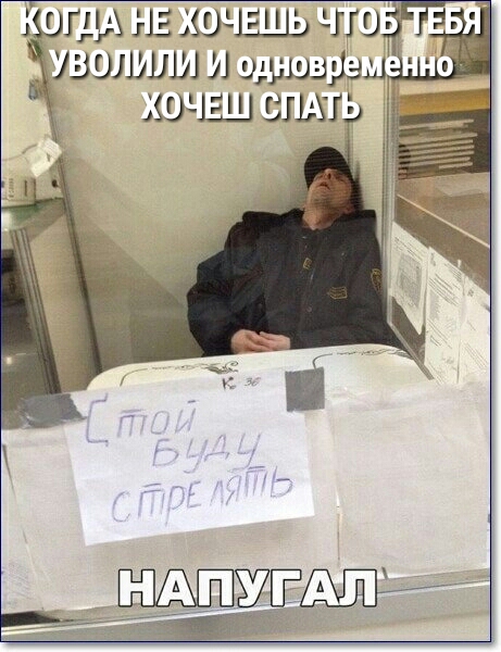 1Г1Ы1ЬАОН ЬПО 1153119111111 9515133113141 Ш Ш ВПШ