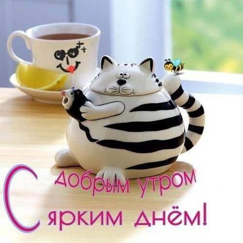 ярким днём