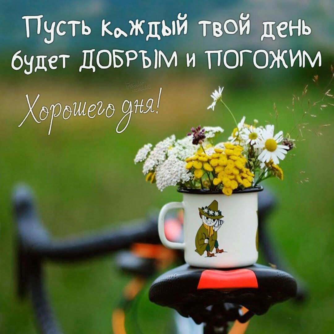 Пнсть кЖДый твой день будет ДОБРЫМ и ПОГОЖИМ