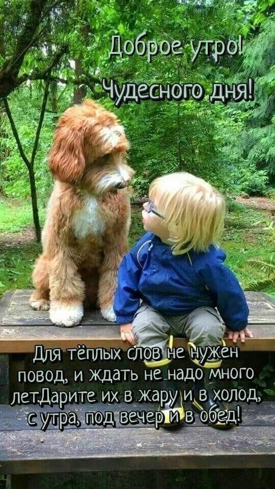 де ихжён не повод и ждать ненадо много