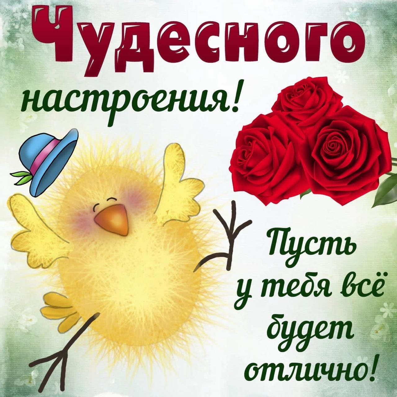 ЁЧУДесп юю
