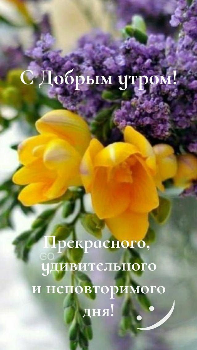 У З офа Я