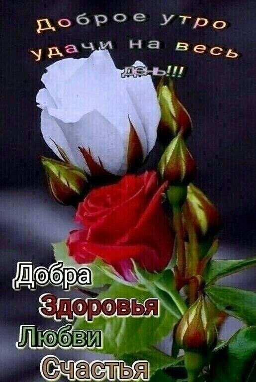 Доброе УТро
