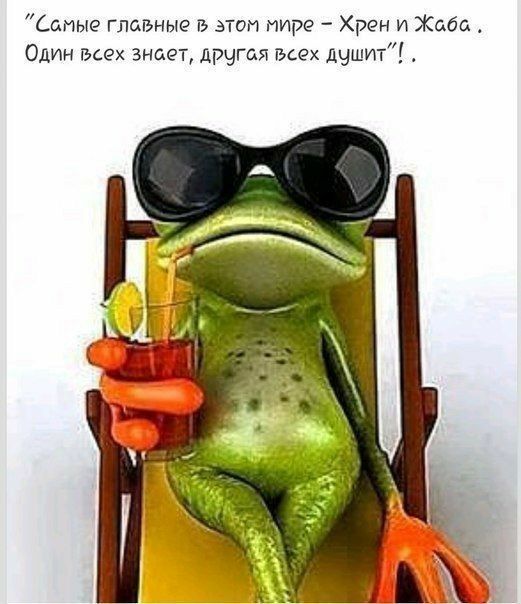 Самые глыэные в 3 ти мире Хрен и Жаба Один всех знает дрчгая всех душит