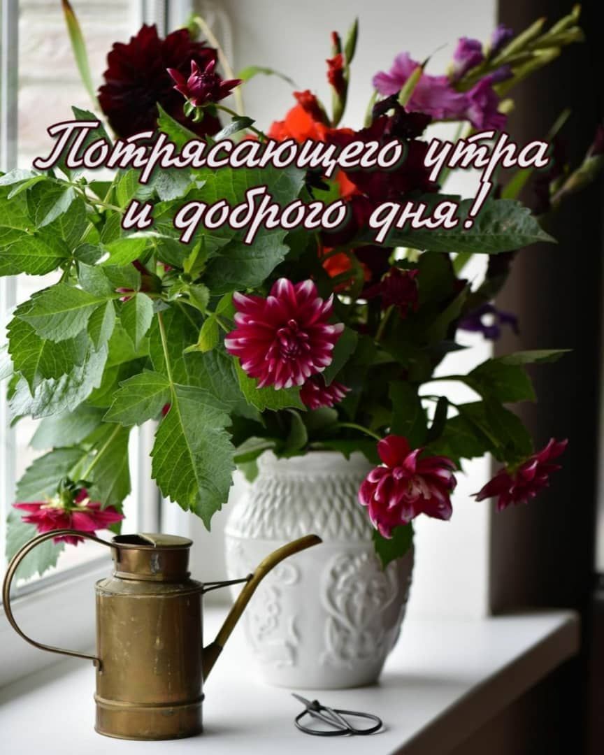 Дляьягсающао а гуосфага унд