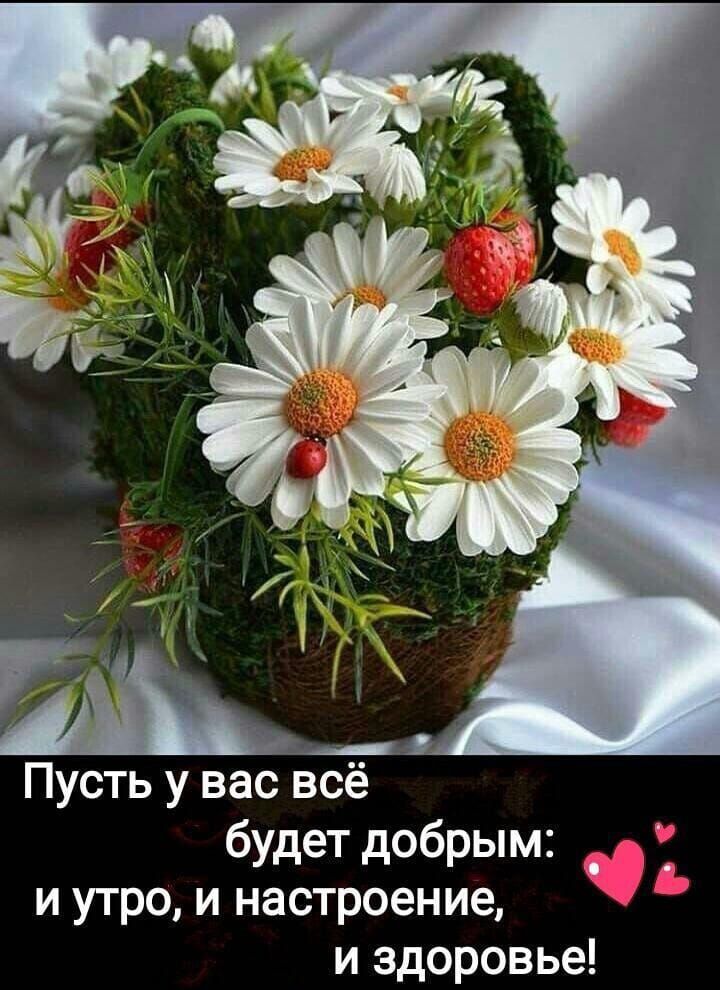 Пусть у вас всё будет добрым и утро и настроение и здоровье