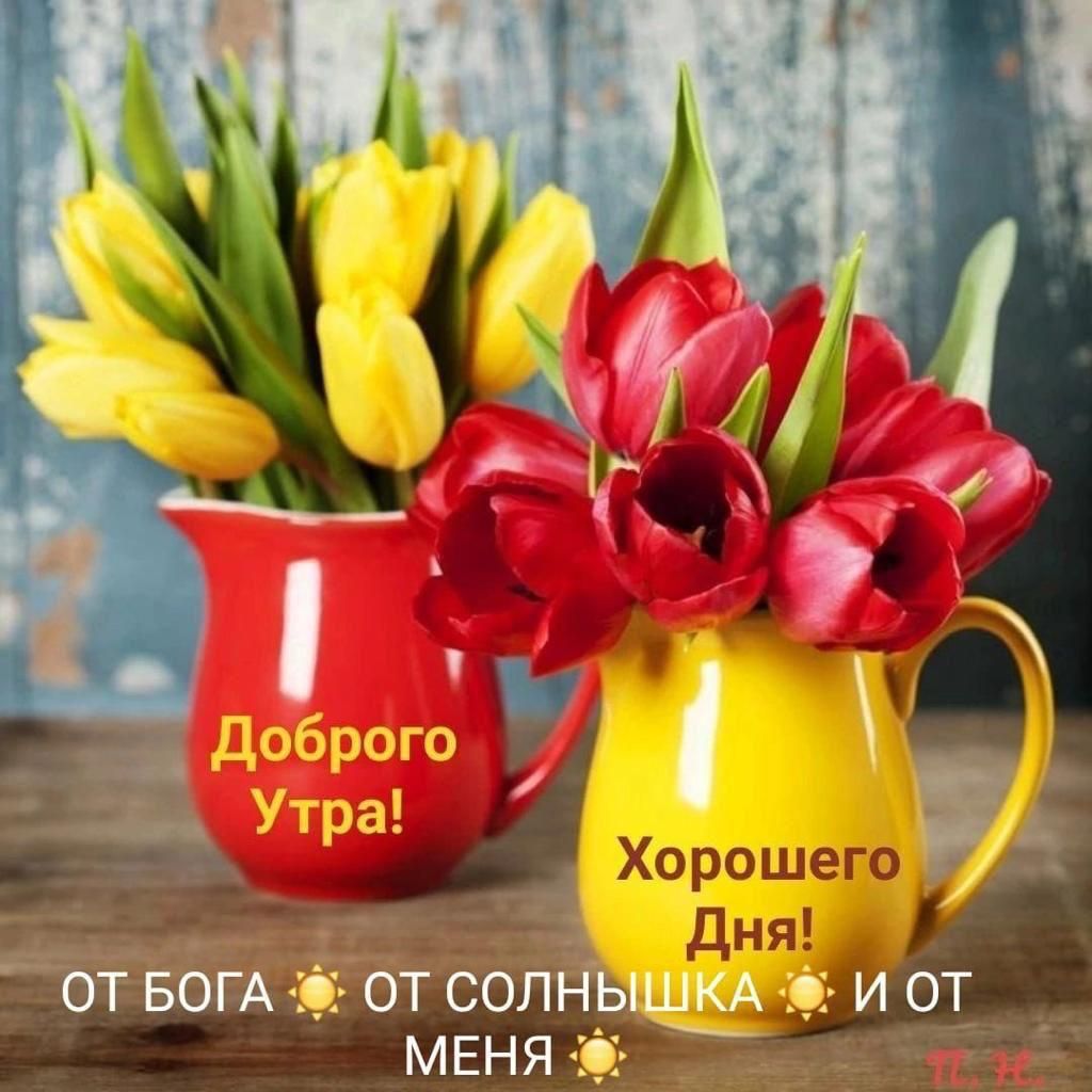 _ ЁгюгА от солдышм _ръиот _ мвняээ