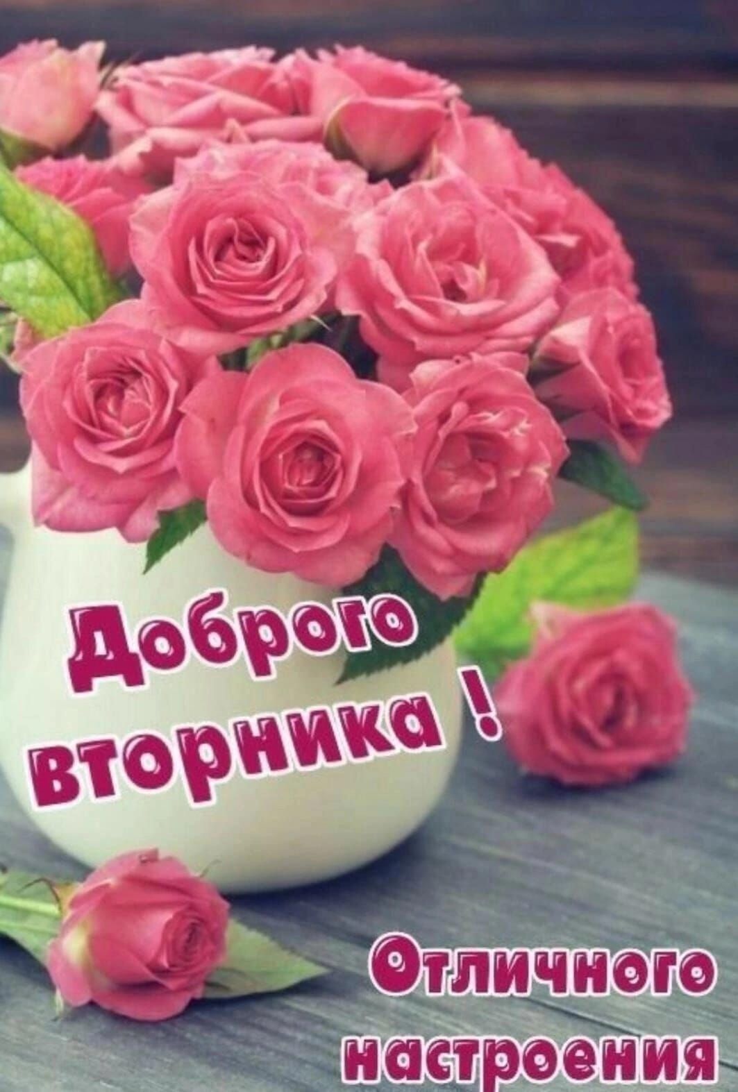 тдл И ст
