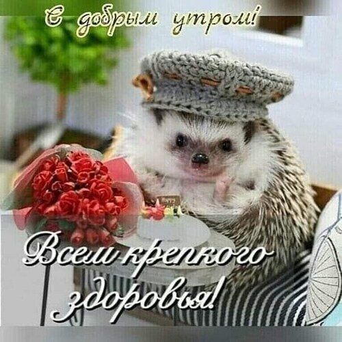 дарил ддтдом