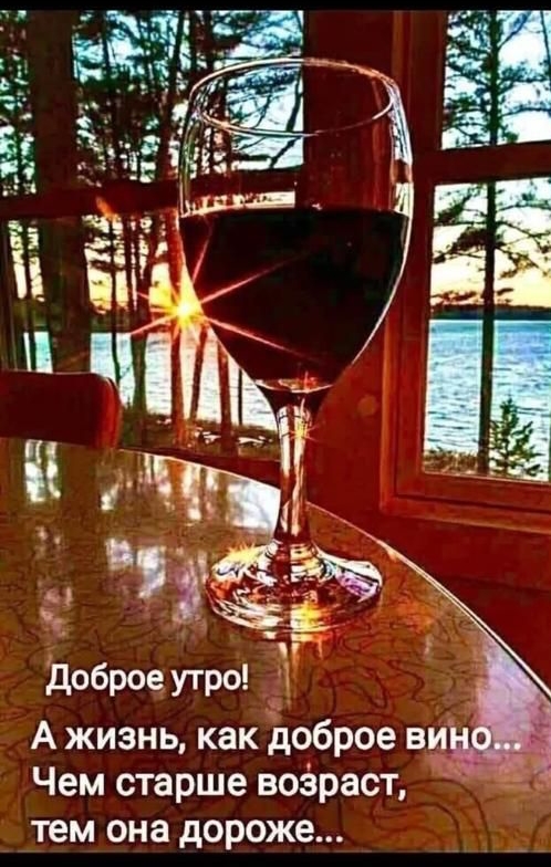 то пан Фш лам доброе утро А жизнь как доброе ви Чем старше воёраст тем она дороже