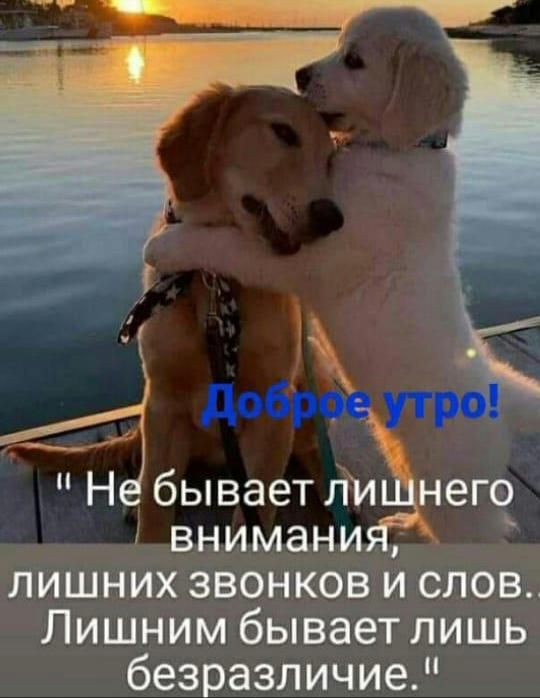 бывает ли него внимани лишних звонков и слов Лишним бывает лишь безразличие НН