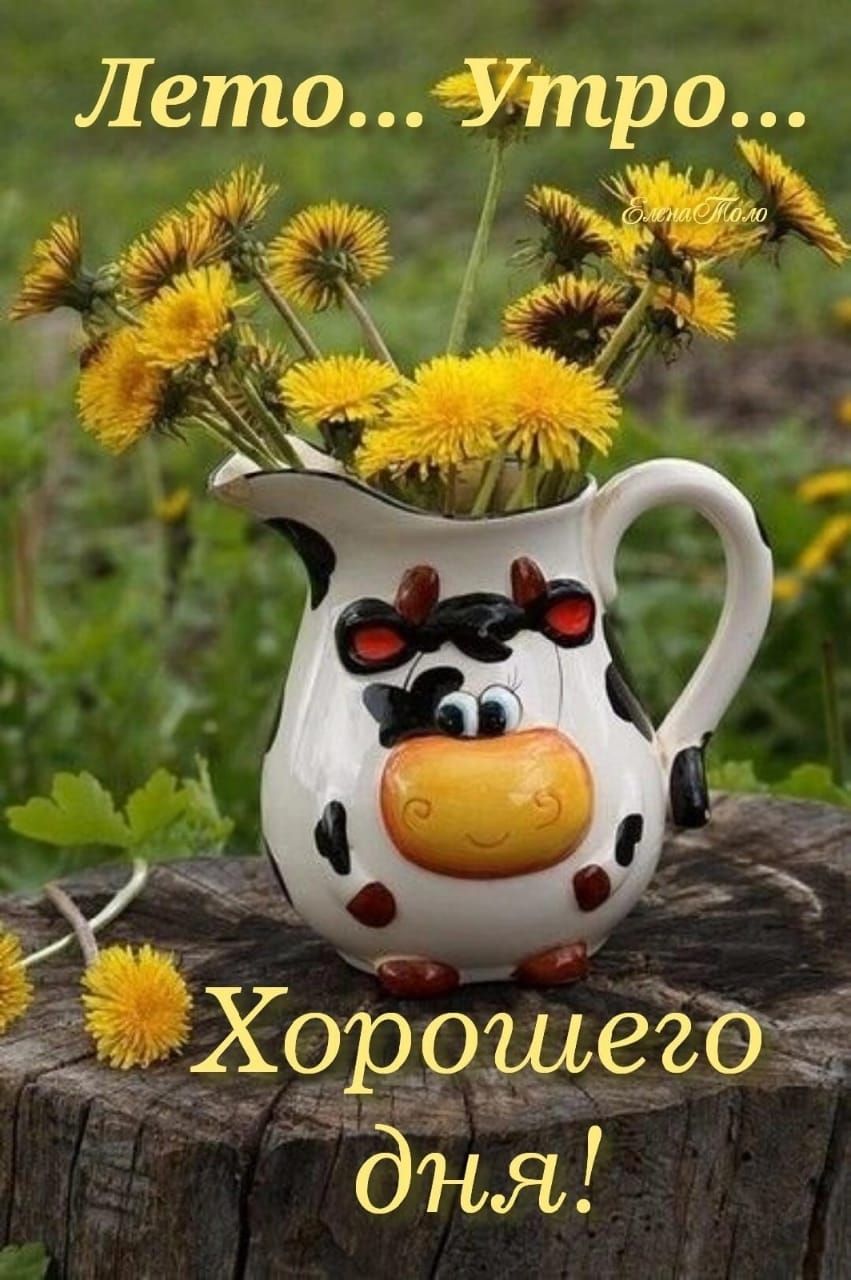 ЛетоПтро