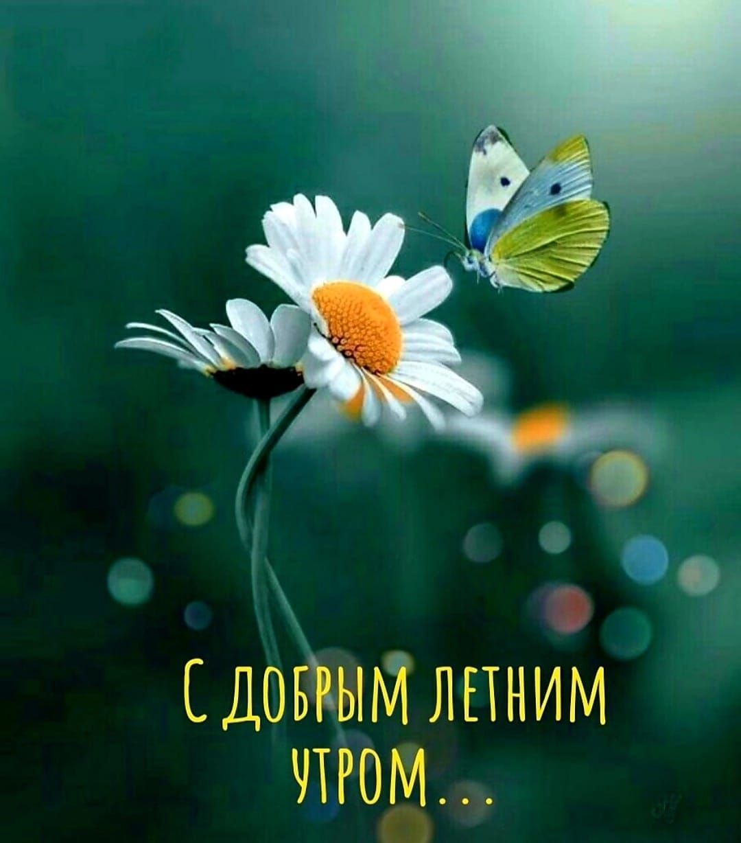 ЕДОБЩМ лпним игом