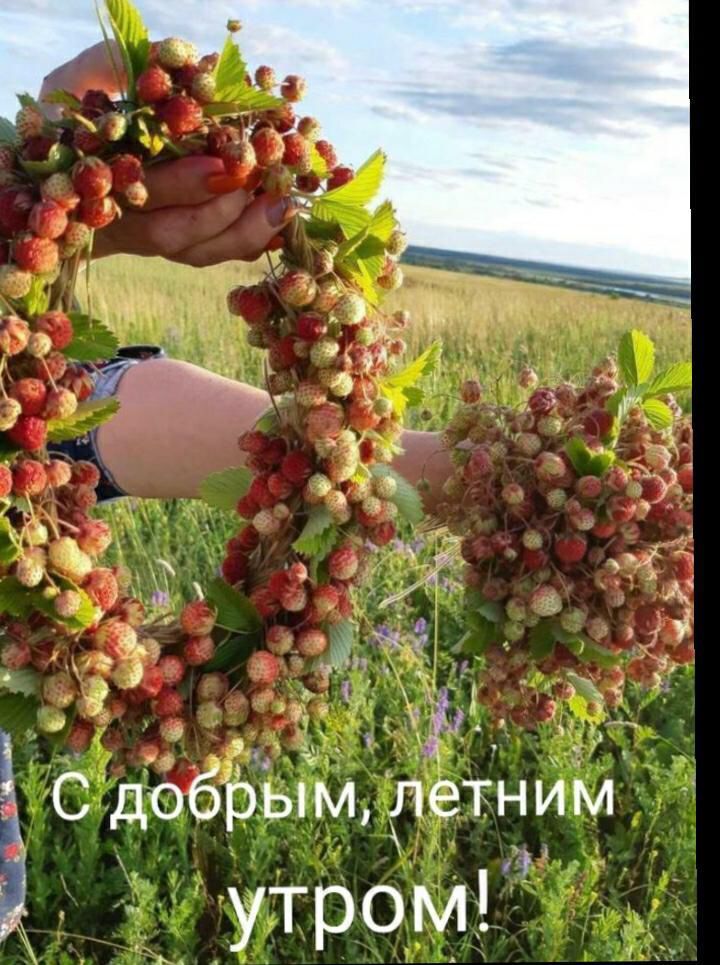 С добрым летним утром