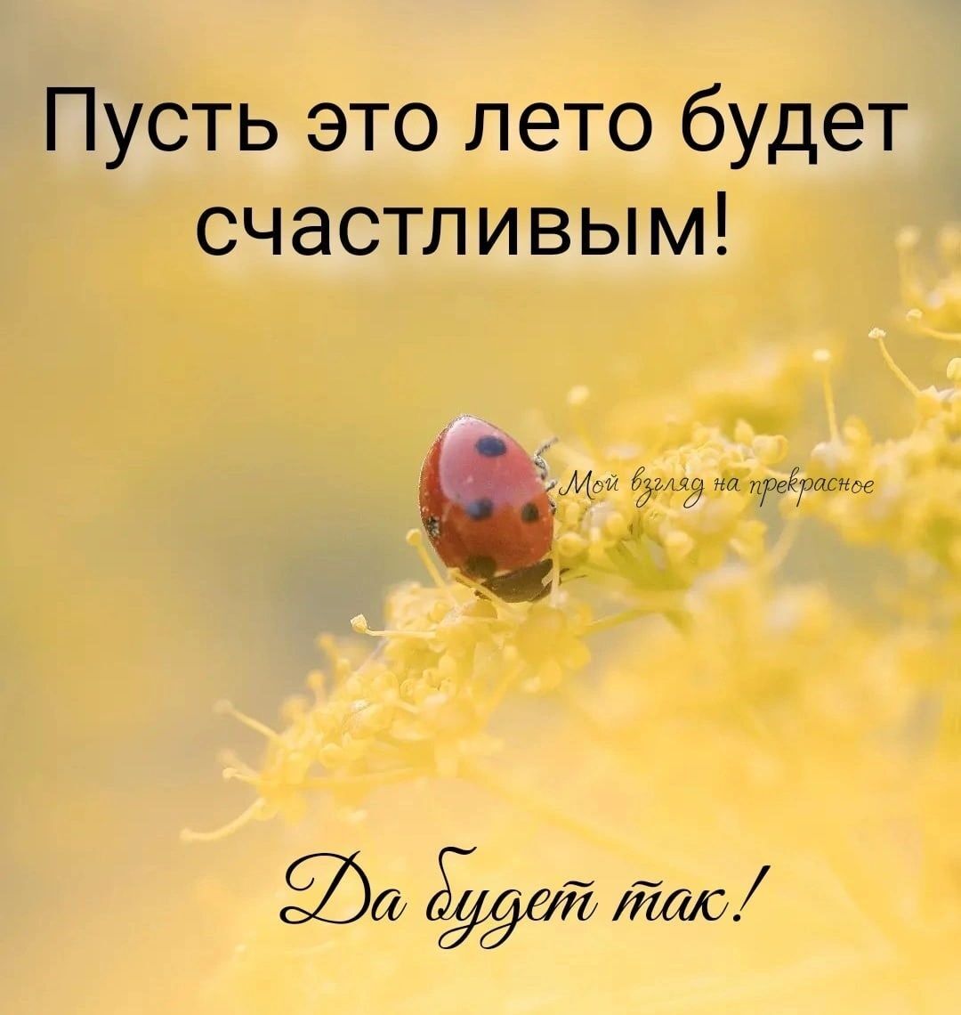 Пусть это лето будет счастливым