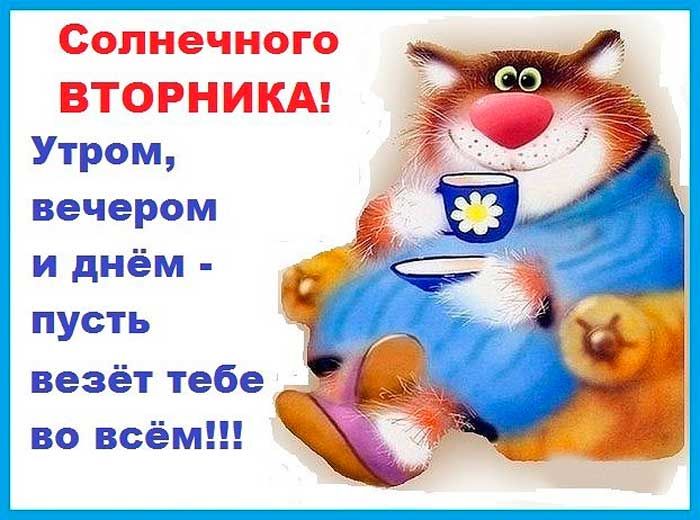 Солнечного ВТОРНИКА