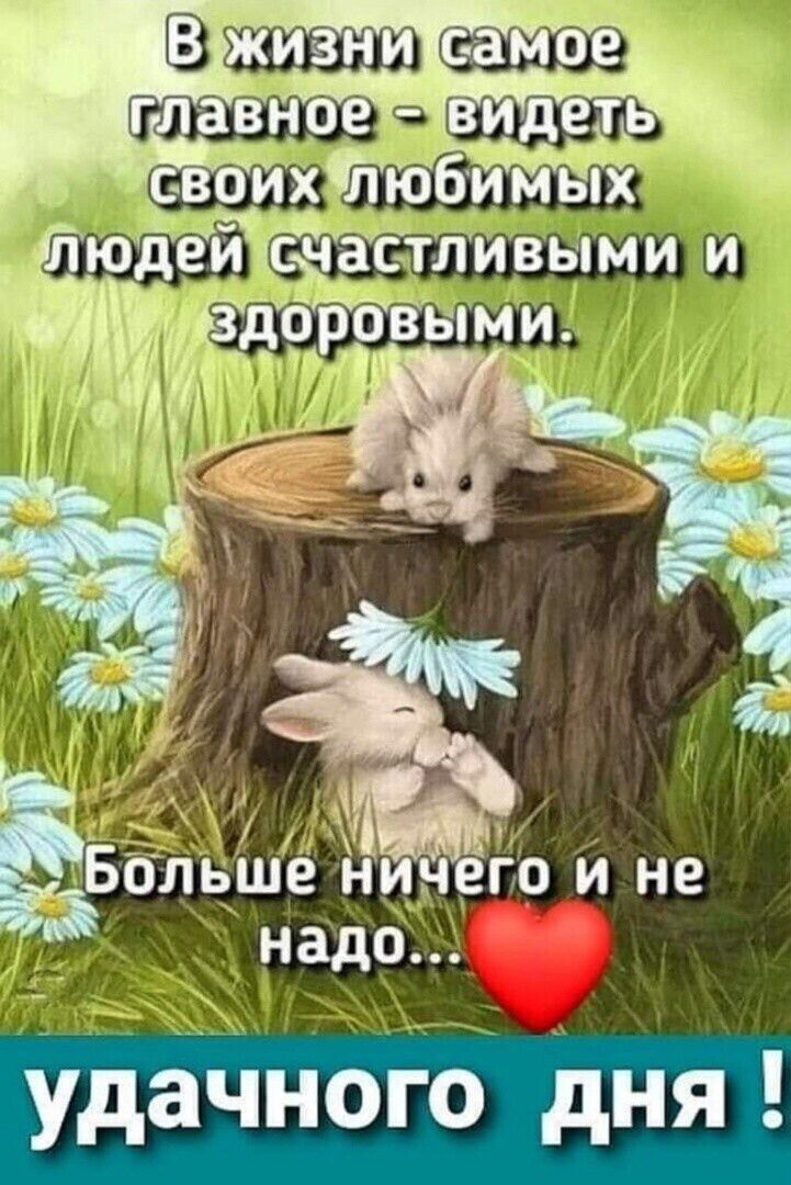 удачного дня