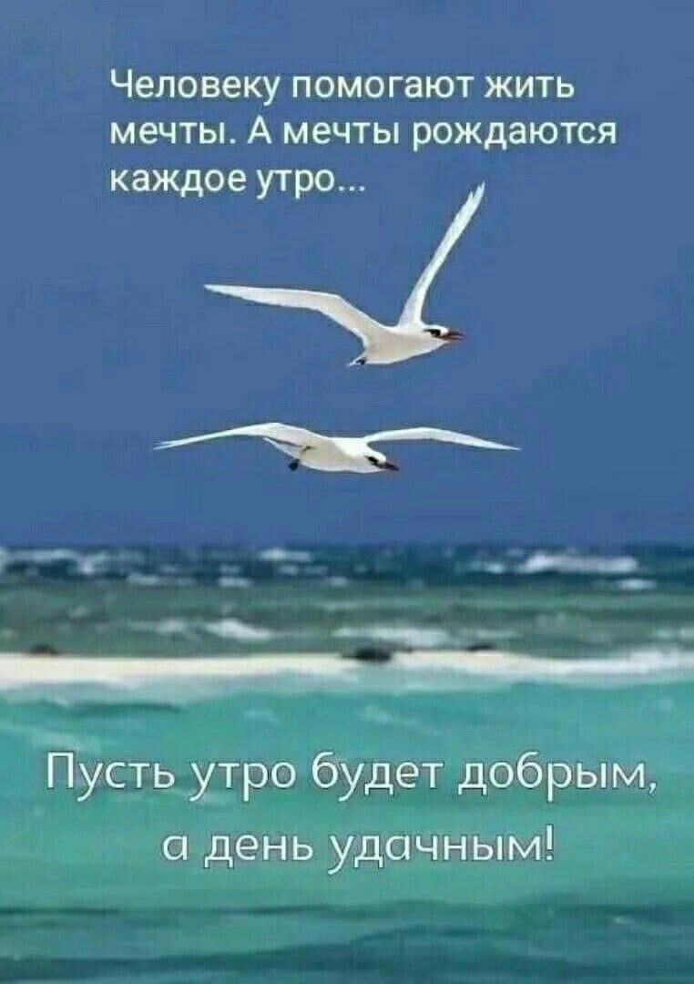 Человеку ПОМОГаЮТ ЖИТЬ мечты А МЕЧТЫ рождаются каждое утро _ пусть утро будет добрым день удачным