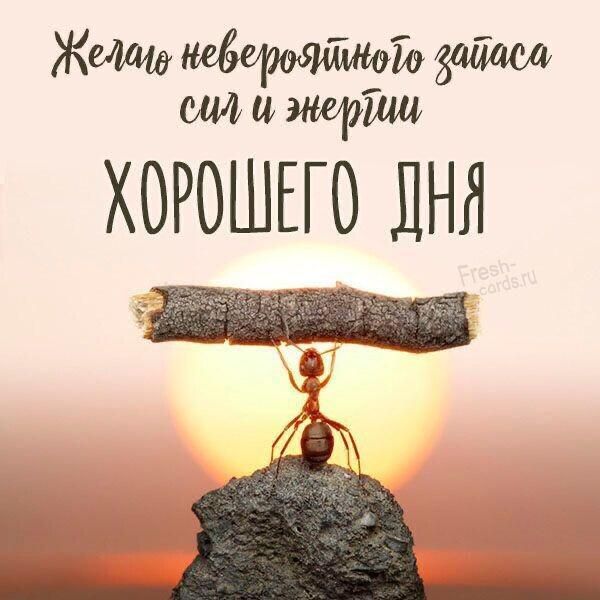 миищши ХОРОШЕГО ЛНО и