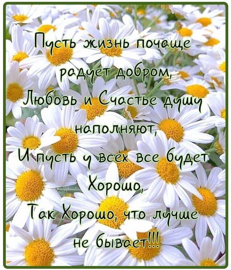 ЬИС ндполчщот И Ип1ТЪ чвсхах в_се багдт