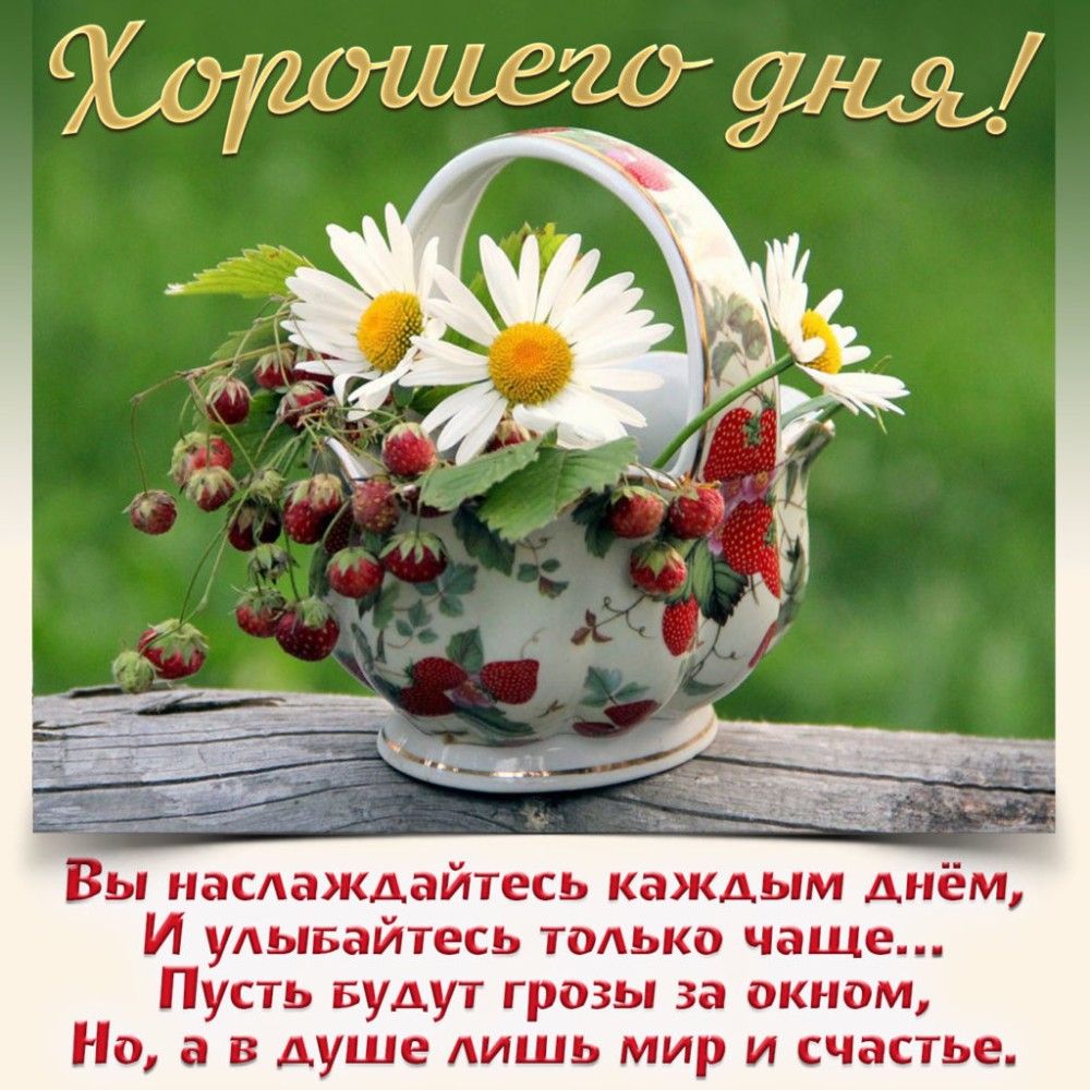 ы наслаждайтесь каждым днём И удывайтесь талько чаще Пусть Будут грозы за окном На в в душе лишь мир и счастье