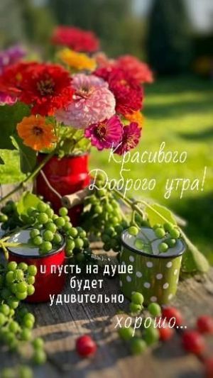 _ чп пусть на дупле будет