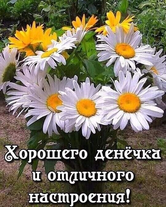 брОЁсго денёчКа оіі1дпчного Настроения