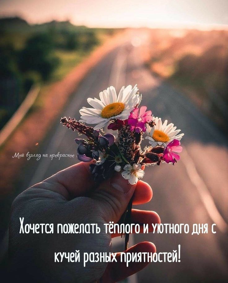 Хочется пожелать тёплого и у кучей разныхприятйстей