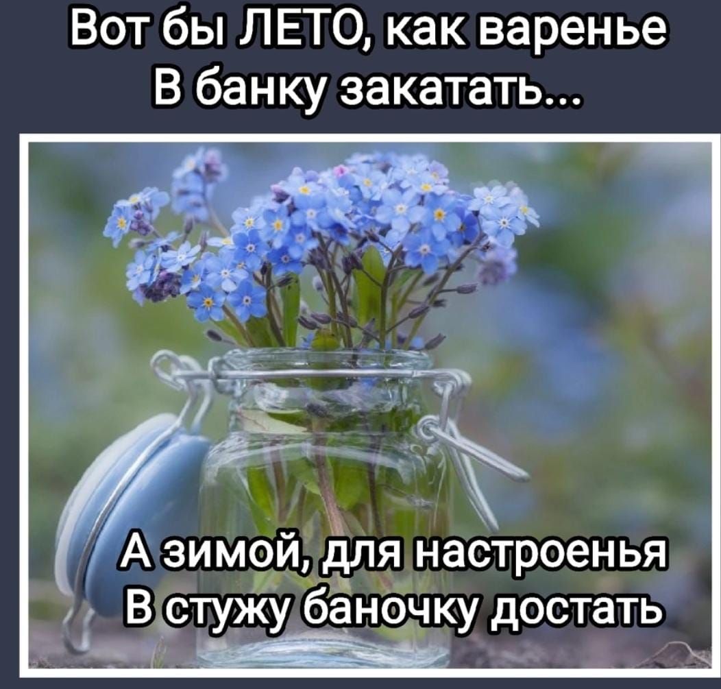 Вот бы ЛЕТО как варенье В банку закатать А зимой для настроенья В стужу банбчку достать А