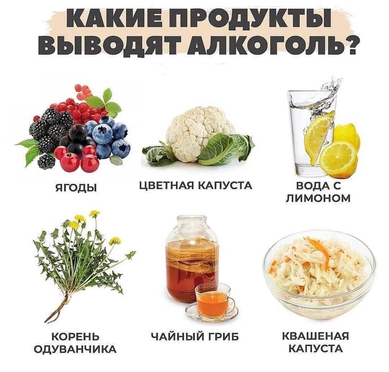 КАКИЕ ПРОДУКТЫ выводят АЛКОГОЛЬ т КОРЕНЬ ЧАЙНЫЙ ГРИБ квАшЕнАя ОДУВАНЧИКА кАпустА