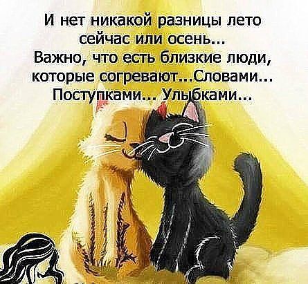 И нет никакой разницы лето сейчас или осень Важно что есть близкие люди которые согреваютСловами Посгупками Уль ками