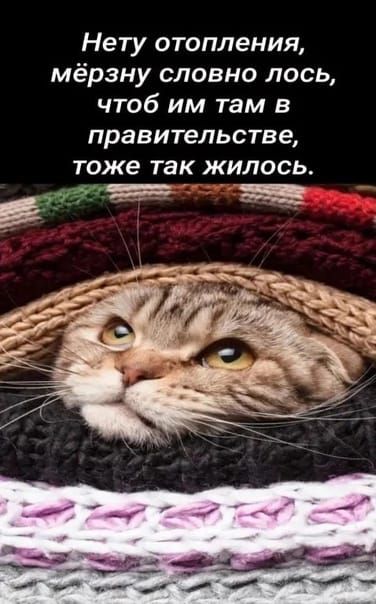 Нету отопления мёрзну словно лось чтоб им там в правительстве ТОЖЕ ТЗК ЖИЛОСЬ