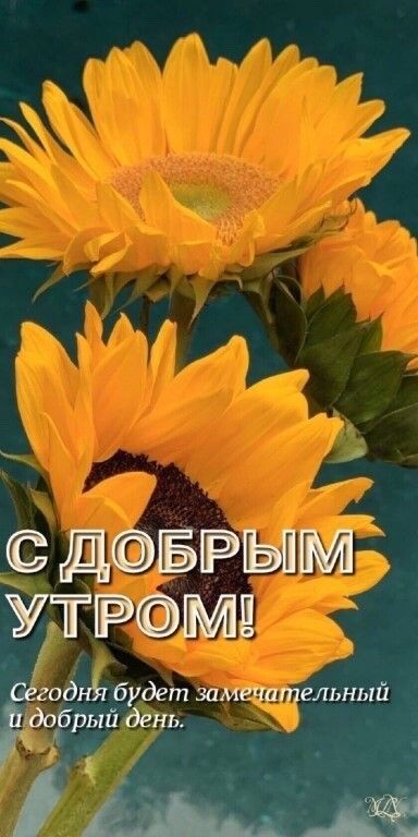 1 Эм