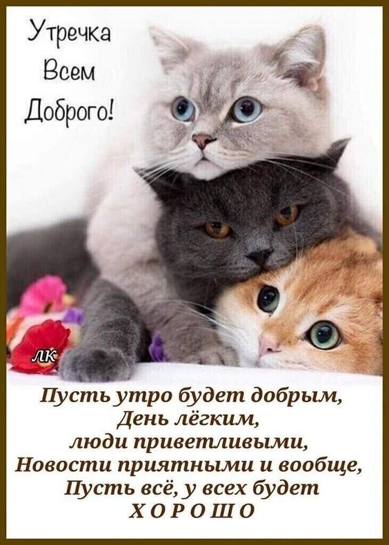 Утречка Всем Доброго Пусть утро будет добрым День лёгким люди приветливыми Новости приятными и вообще Пусть всё у всех будет Х 0 Р 0 Ш 0
