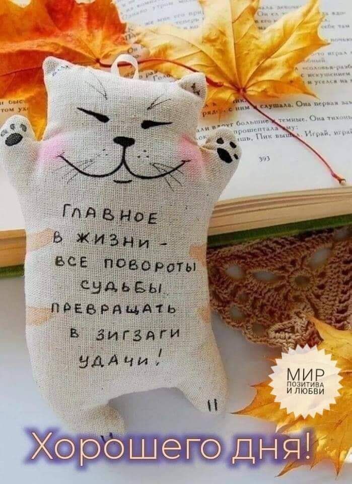 МИР ипітвёи