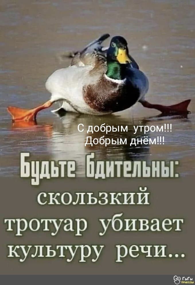 _ с обрым утром _обрым днём Бильтнзіідитепьны скользкий тротуар убивает культуру речи 931