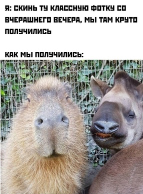 П ШШШ Т МНЕНИЕ ФППШ СП ПЧЕРПШИЕГП ПЕЧЕРП МЫ ТИМ КРШП ПШШЧИЛИЕЬ КПК МЫ ШШШ Ш 1 дц
