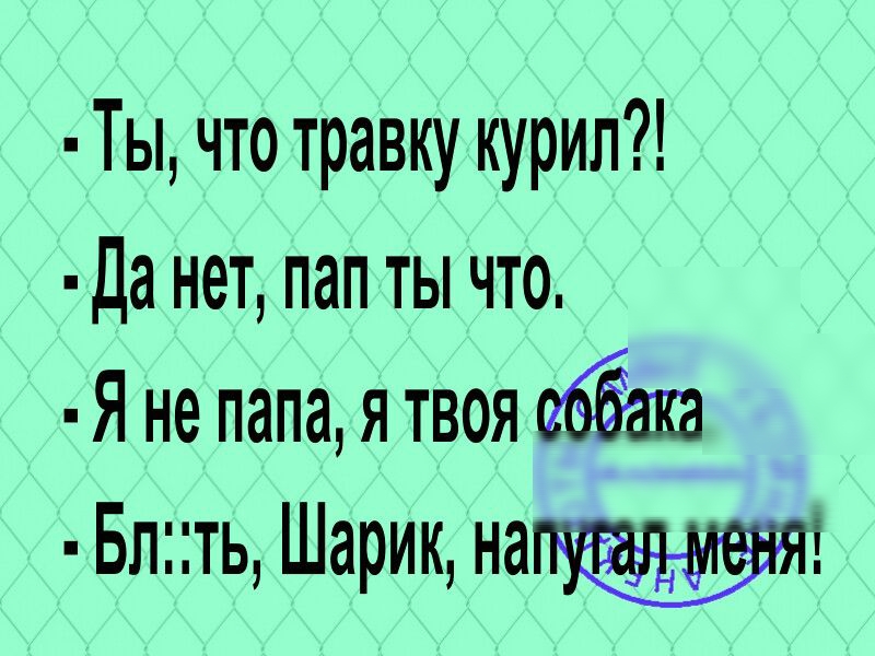Ты что травку курил Да нет пап ты что Я не папа я твоя Блть Шарик наі
