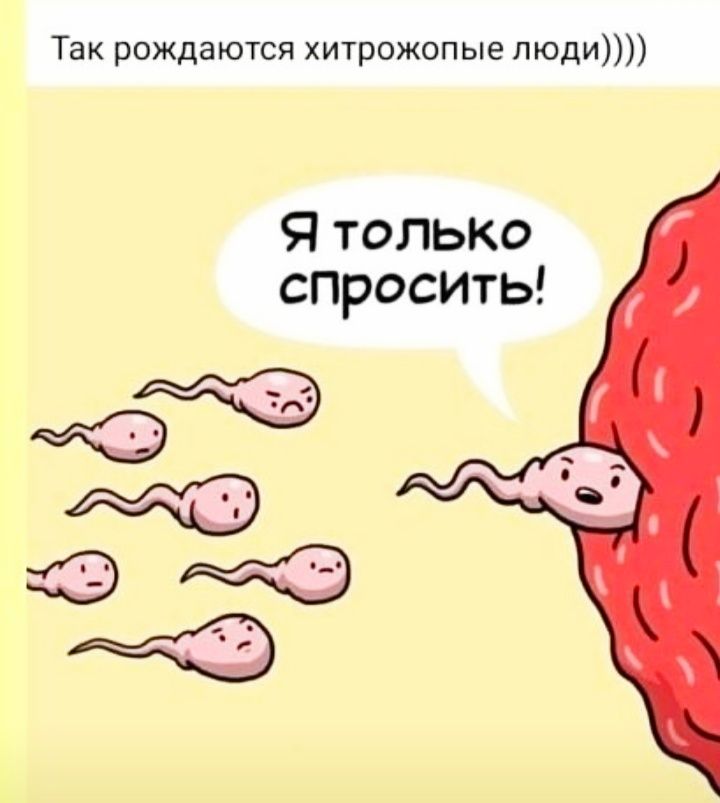 Так рождаются хитрожопые пюди Я только спросить