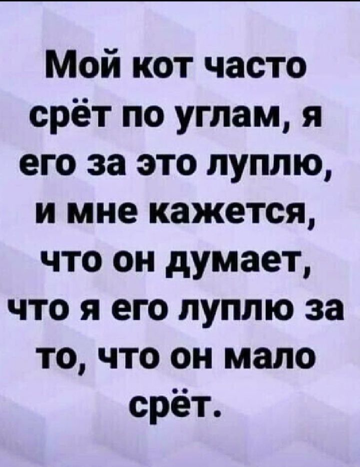 Мой кот часто срет по углам я его за это луплю и мне кажется что он думает что я его луплю за то что он мало орёт