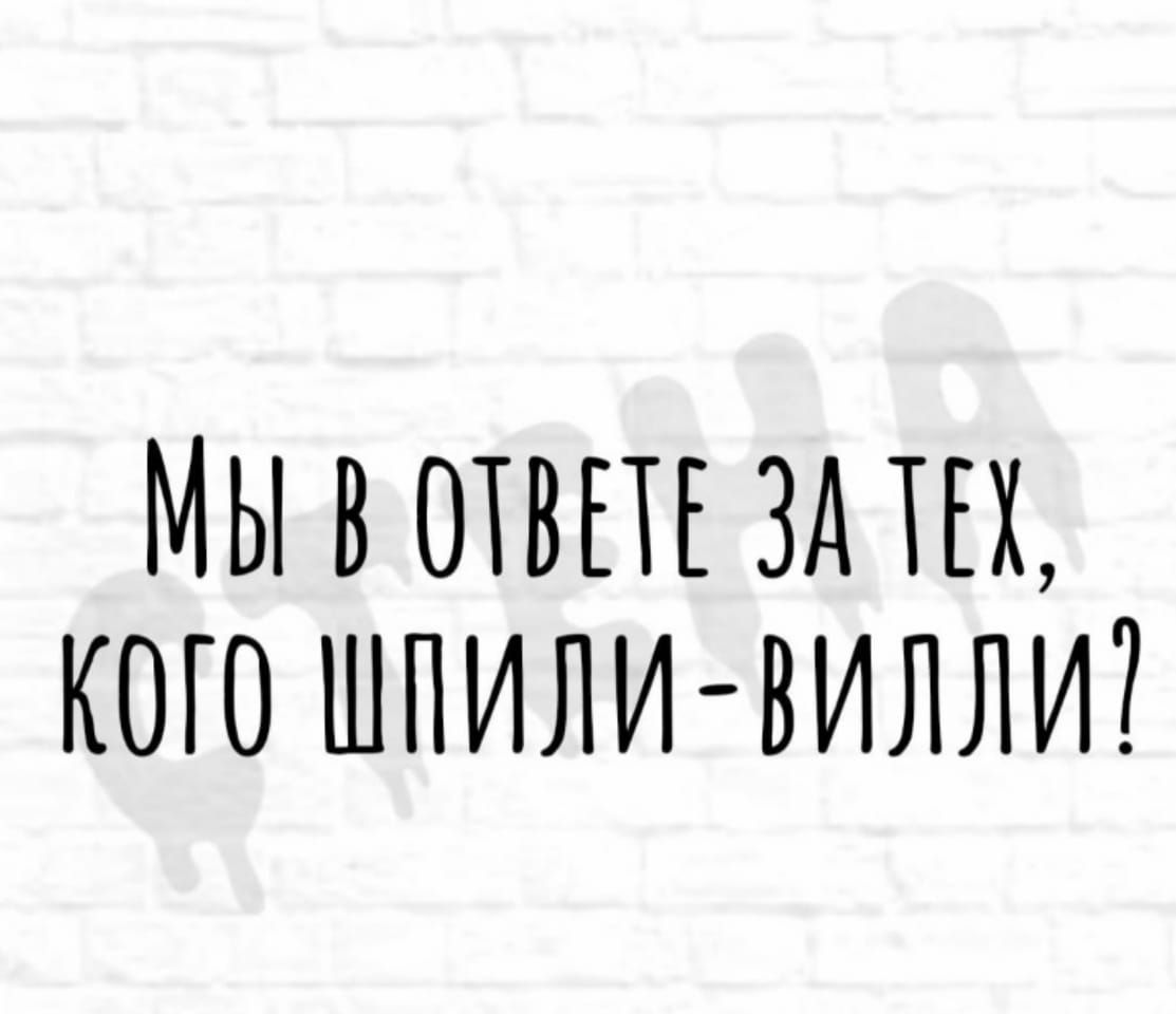 МЫ В ШВПЕ ЗА ТЕХ КОГО ШПИЛИ ВИЛЛИ