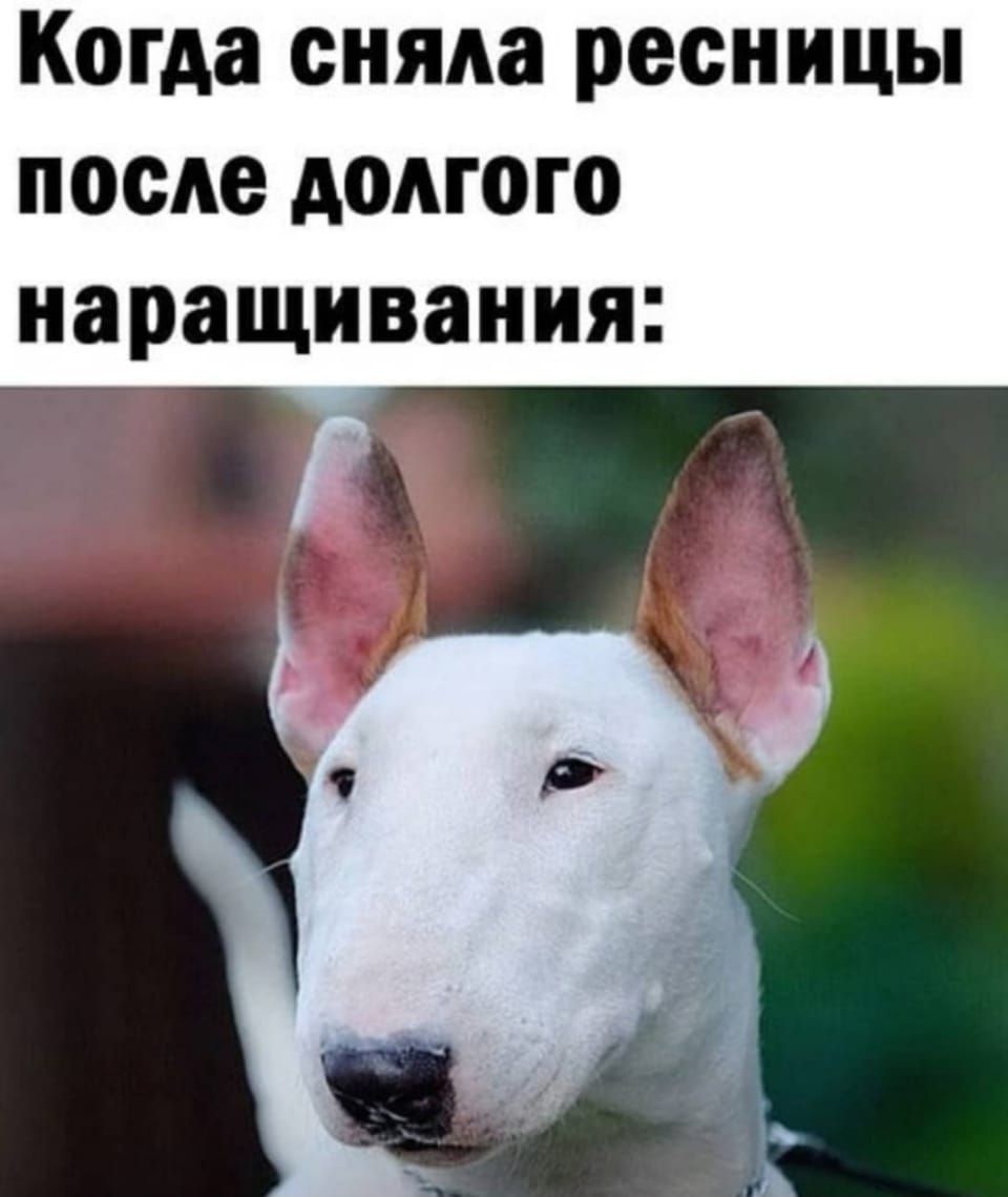 Когда сняла ресницы после долгого наращивания