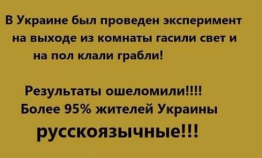 В Украине был проведен эксперимент на ВЬХОАЕ ИЗ комнаты ЗЕМЛИ СВЕТ И на пол клали грабли Результаты ошеломили Более 95 жителей Украины рубскбязычные