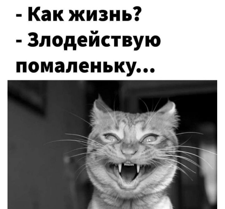 Как жизнь Злодействую помаленьку