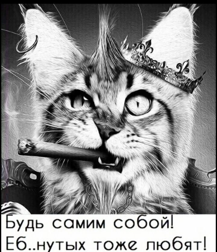 И и ь Будь самим собой Ебнутых тоже любят