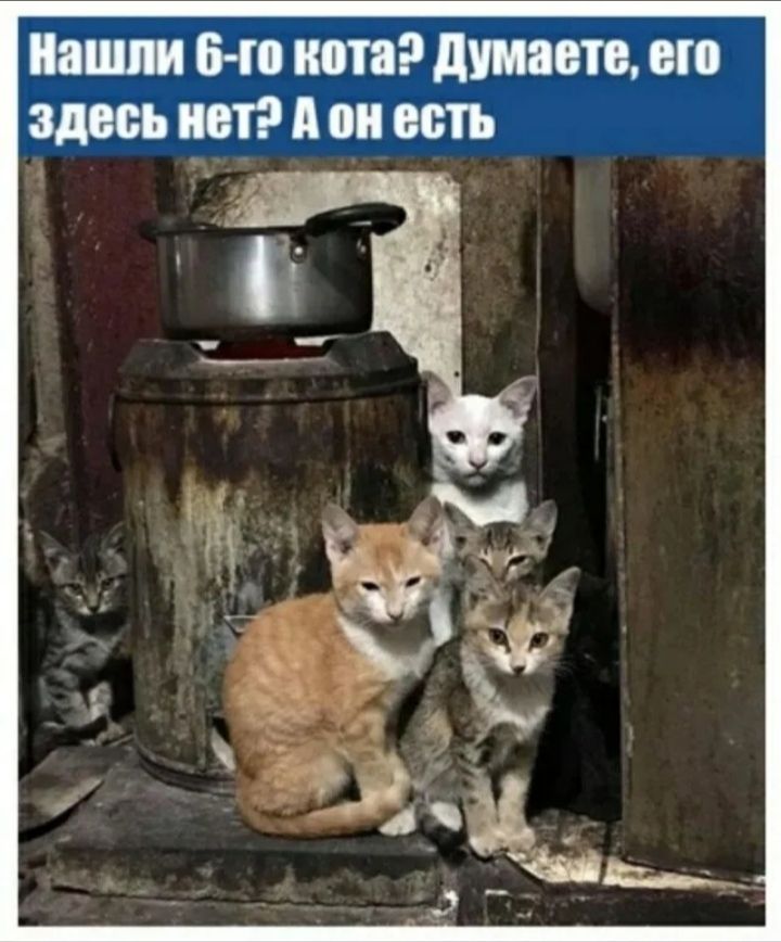 нашли 640 ЛИМОН ВШ ММВБ ЧШ И он ВШ